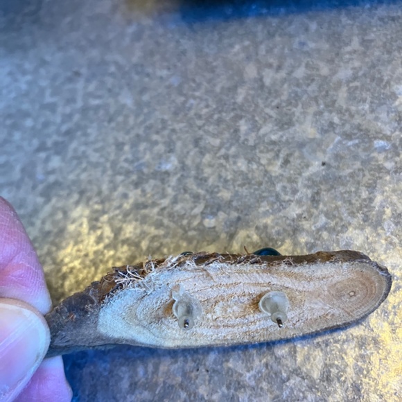 Resin Stud Earrings - Picture 3 of 3